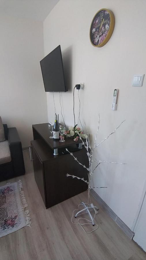 Rose & Water Guest House 파벨 반야 외부 사진