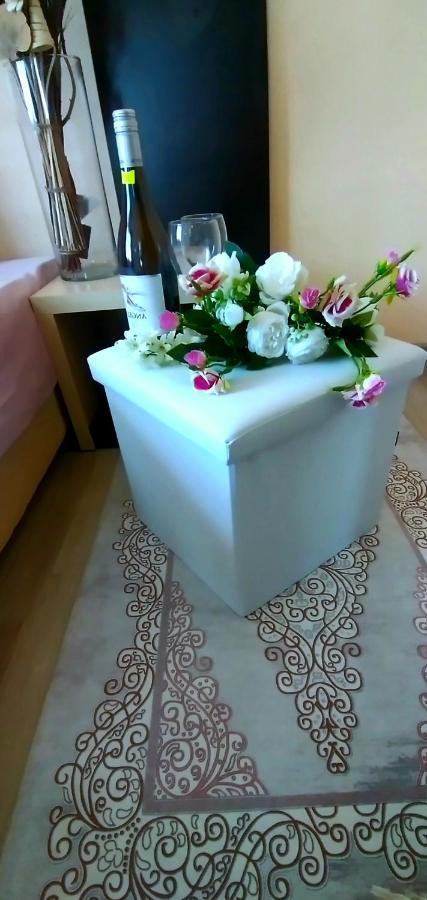 Rose & Water Guest House 파벨 반야 외부 사진