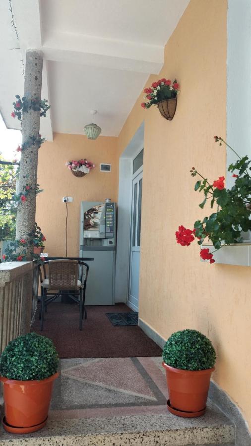 Rose & Water Guest House 파벨 반야 외부 사진